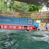 夏日炎炎正好游。_哔哩哔哩_bilibili